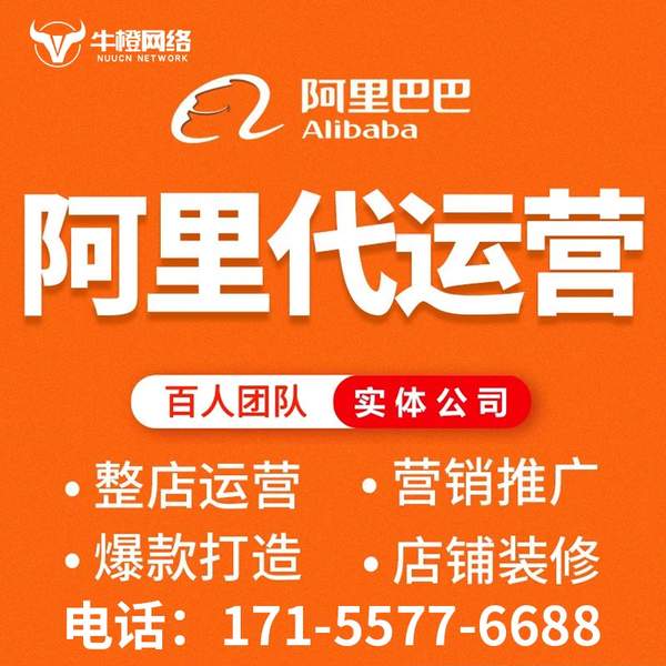 保定电商代运营