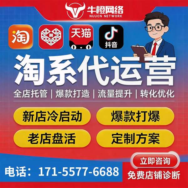 保定电商代运营