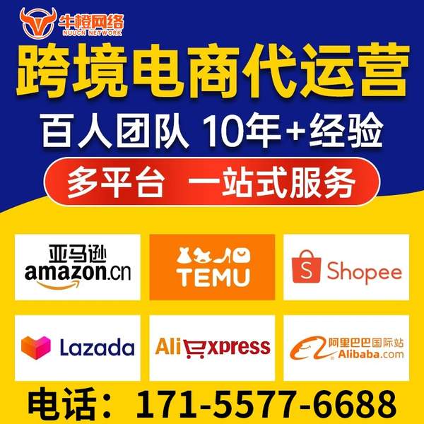 保定电商代运营