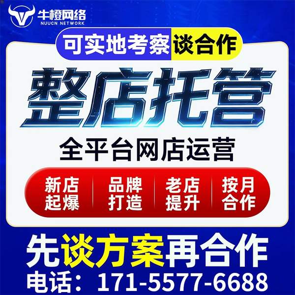 保定电商代运营