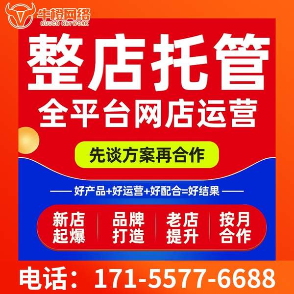 保定电商代运营