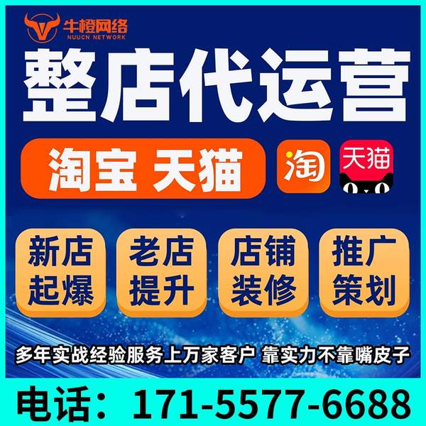 保定电商代运营