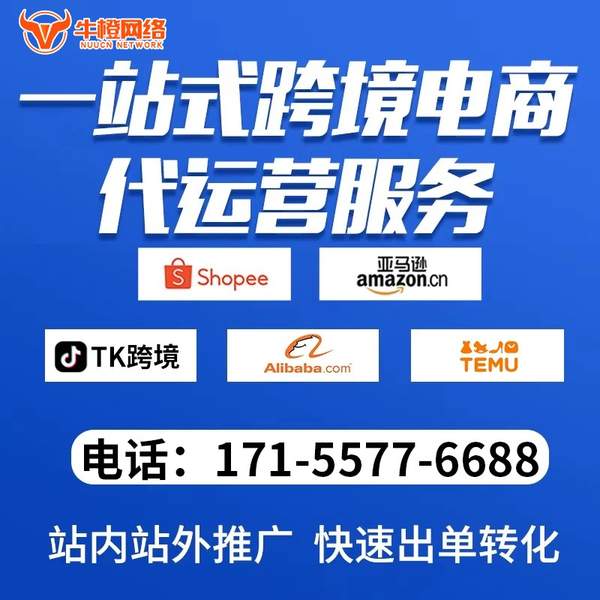 保定电商代运营