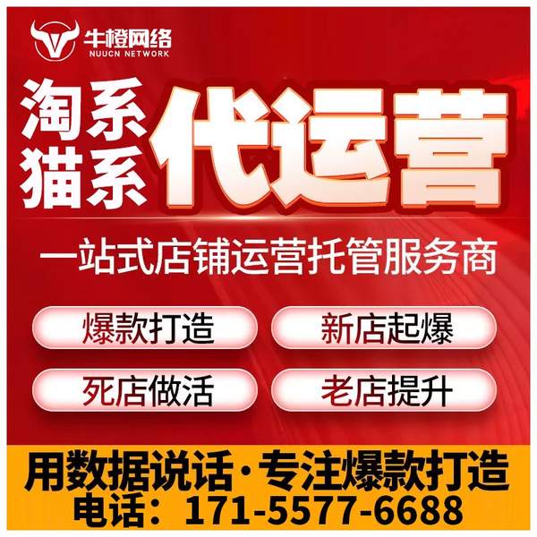 保定电商代运营